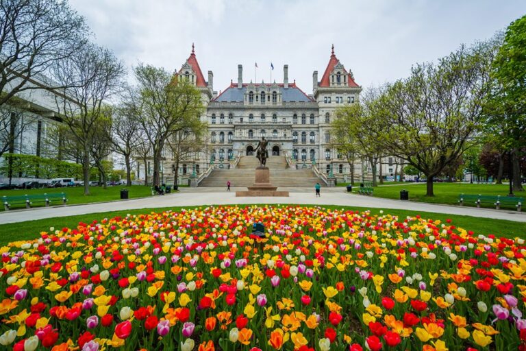 Albany Trucks For Sale: Your Definitive Guide to Navigating the Capital Region Market