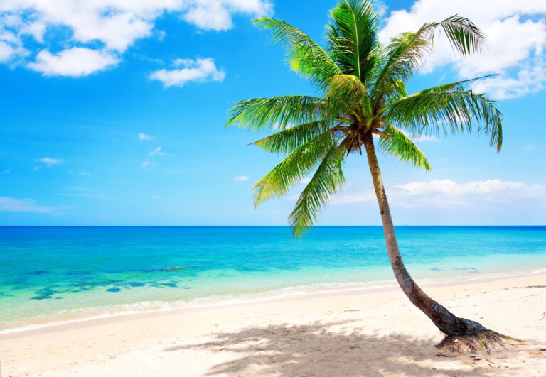 Beach Trucks For Sale: Your Ultimate Guide to Finding the Perfect Coastal Companion