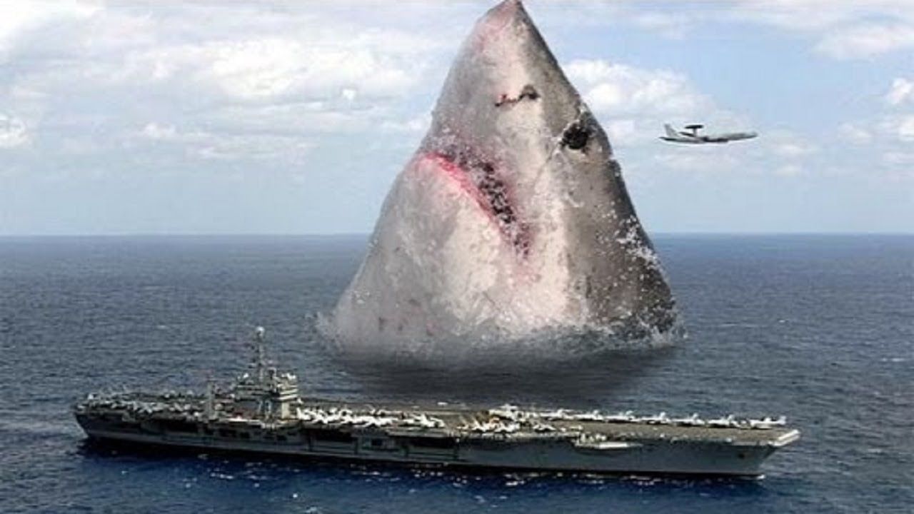 Biggest Trucks For Sale: A Comprehensive Buyer’s Guide