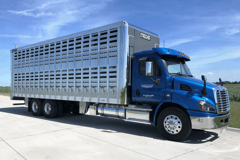 Conversion Pickup Trucks For Sale