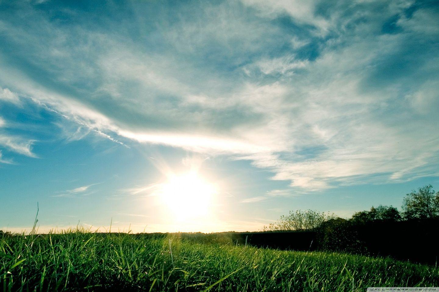 Day Cabs Trucks For Sale: Your Comprehensive Guide to Finding the Right Rig