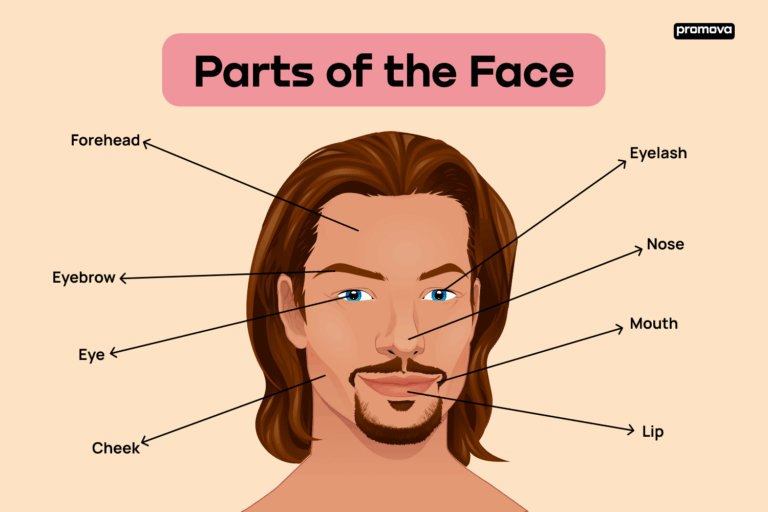 Face Care Brands: Navigating the World of Skincare for Radiant Health