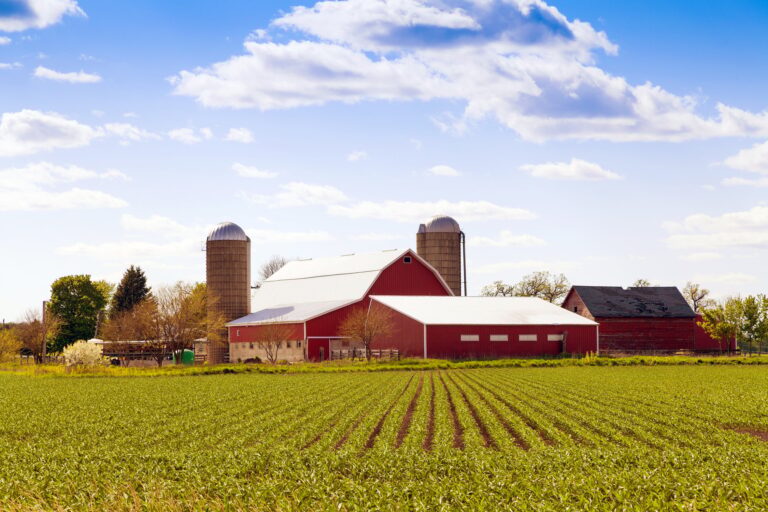 Farm Pickup Trucks For Sale Near Me: Your Comprehensive Guide to Finding the Right Workhorse