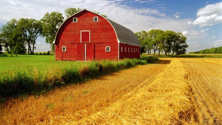 Farm Trucks With Hay Beds For Sale: Your Comprehensive Guide to Efficient Hay Handling