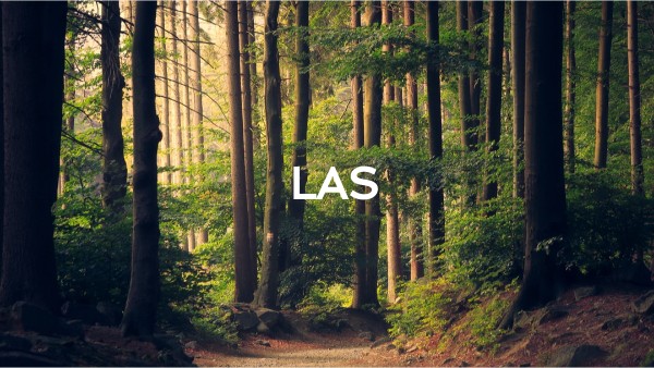 Las Cruces Craigslist Cars And Trucks For Sale By Owner: Your Comprehensive Guide