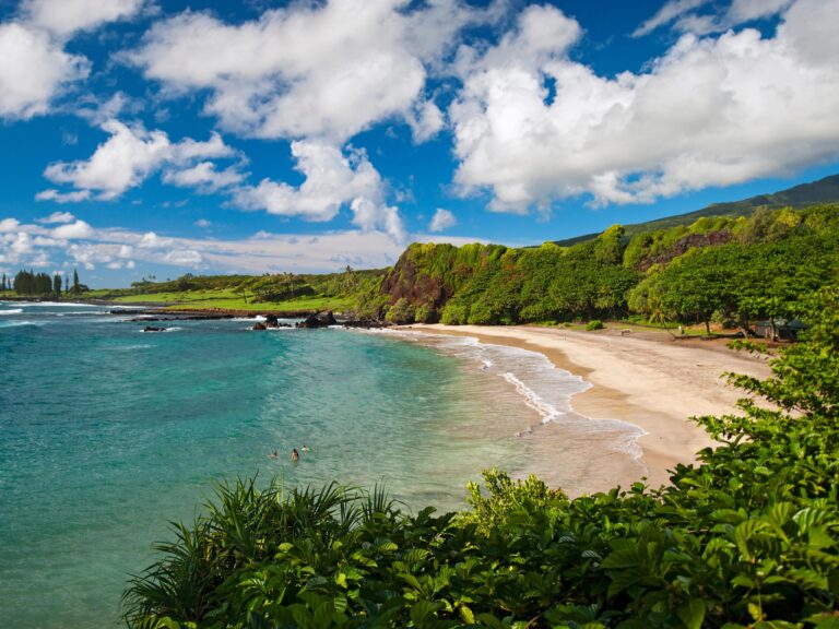 Maui Facebook/Cars Trucks For Sale By Owners: Your Comprehensive Guide to Navigating the Island’s Automotive Marketplace