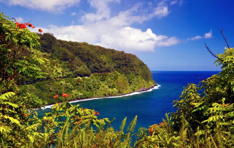Maui Trucks For Sale: Your Comprehensive Guide to Finding the Perfect Ride on the Valley Isle