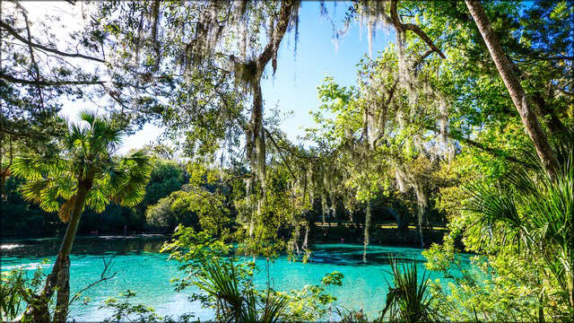 Ocala Craigslist Cars And Trucks For Sale By Owner: Your Ultimate Guide