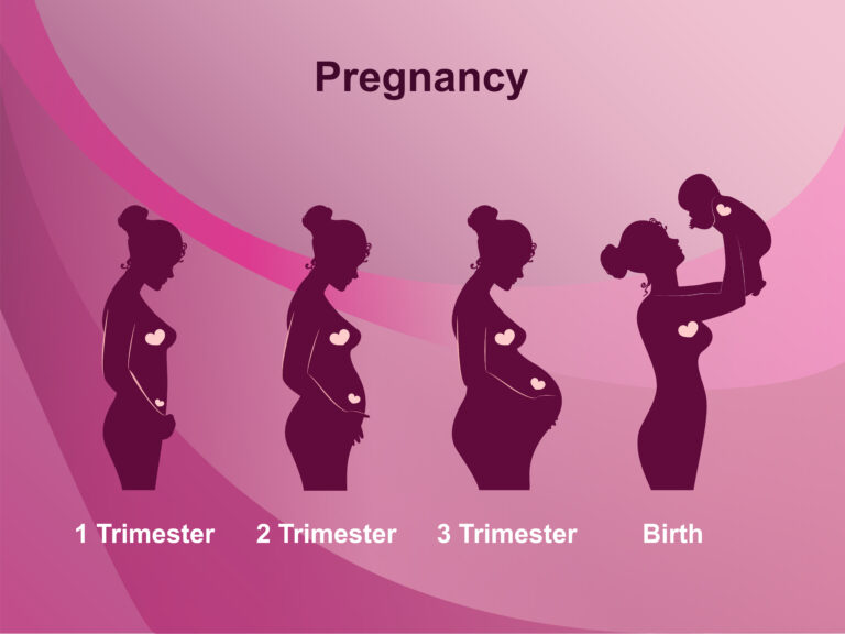 Pregnancy Safe Skin Care Brands: A Comprehensive Guide for Expecting Mothers