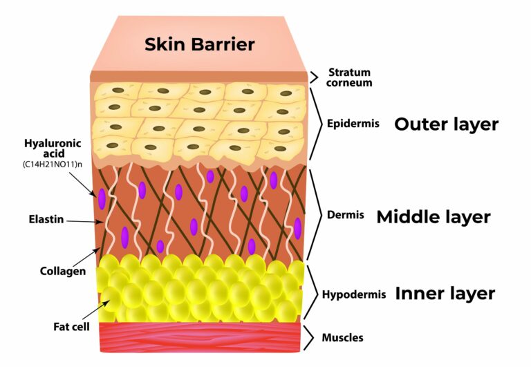 Skin Care Brands Safe During Pregnancy: Nurturing Your Skin and Your Baby