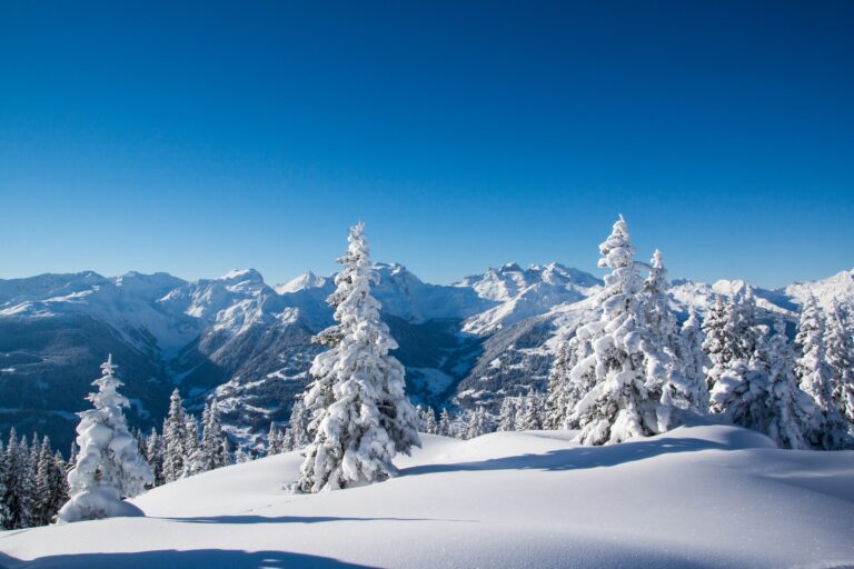 Snow Tracks Besten Truck: Conquering the Winter Wilderness