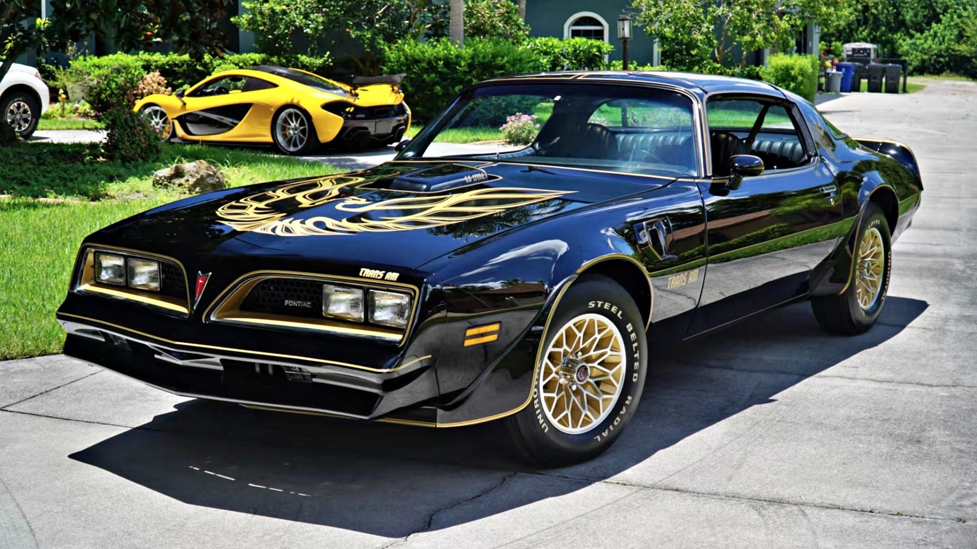 Transam Trucks For Sale: Unearthing the Ultimate Muscle Truck