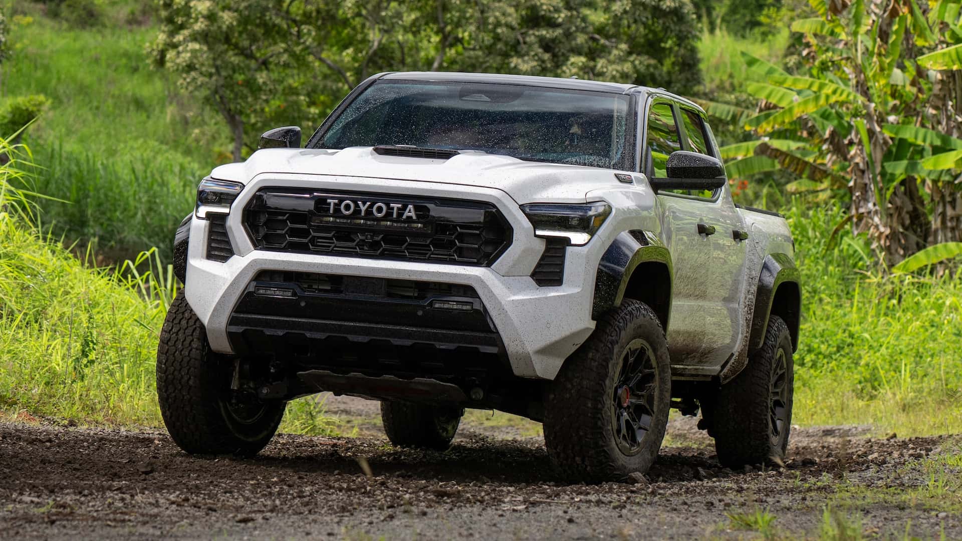 Used Tacoma 4×4 Trucks For Sale: Your Ultimate Guide to Off-Road Excellence