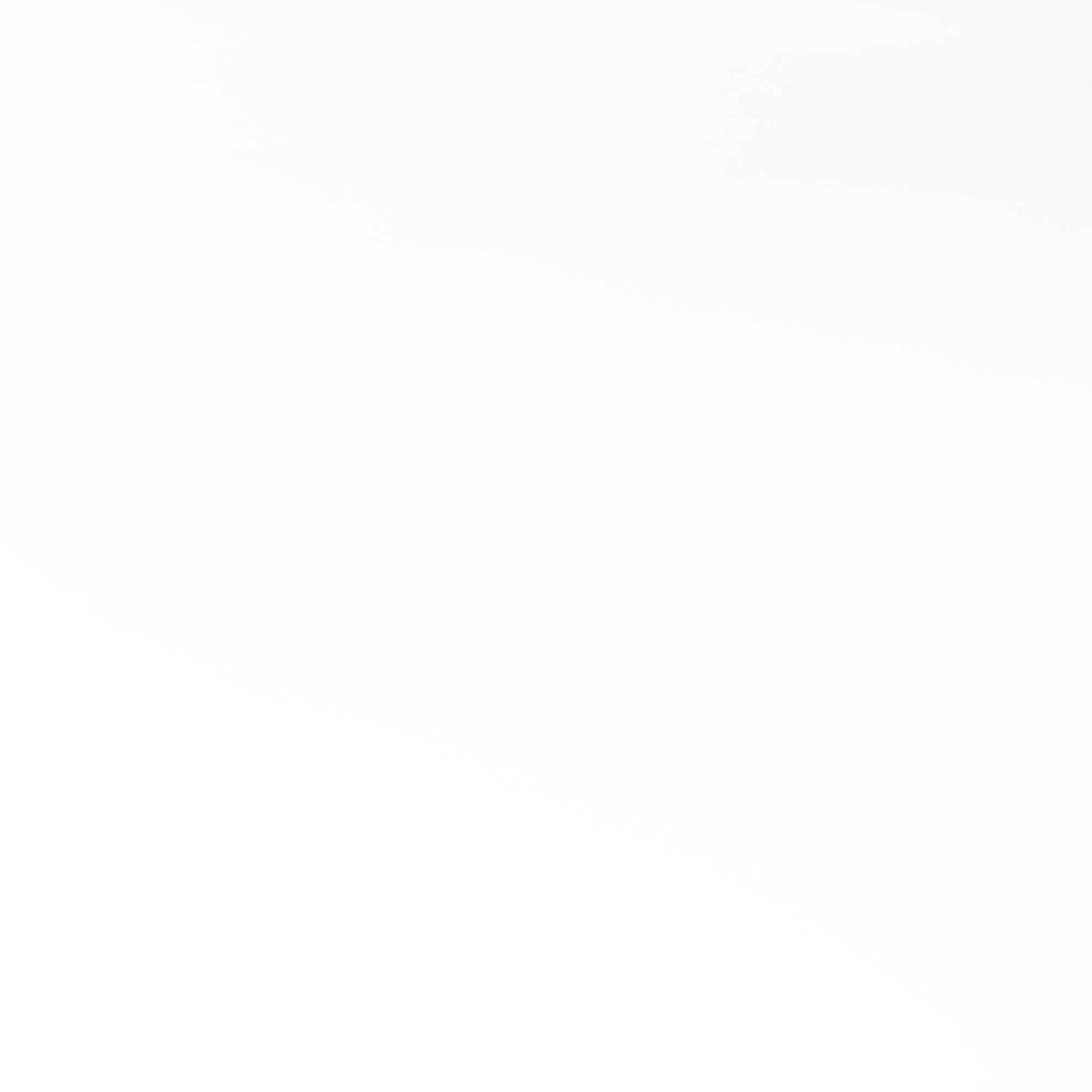 White Ford Trucks For Sale: Your Comprehensive Guide to Finding the Perfect Ride