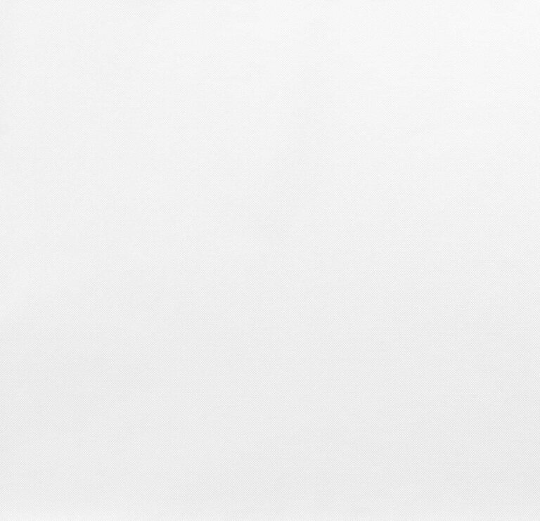 White Work Truck: The Unsung Hero of American Business