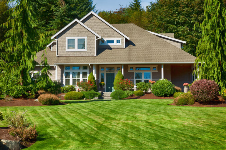 Yard Trucks For Sale: Your Comprehensive Guide to Acquiring the Right Terminal Tractor