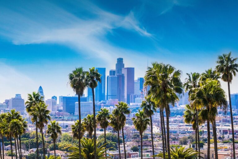 Los Angeles Trucks For Sale: Your Comprehensive Guide to Navigating the LA Truck Market