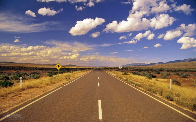 Road Safety Messages To Truck Drivers: Navigating the Highways with Awareness and Responsibility