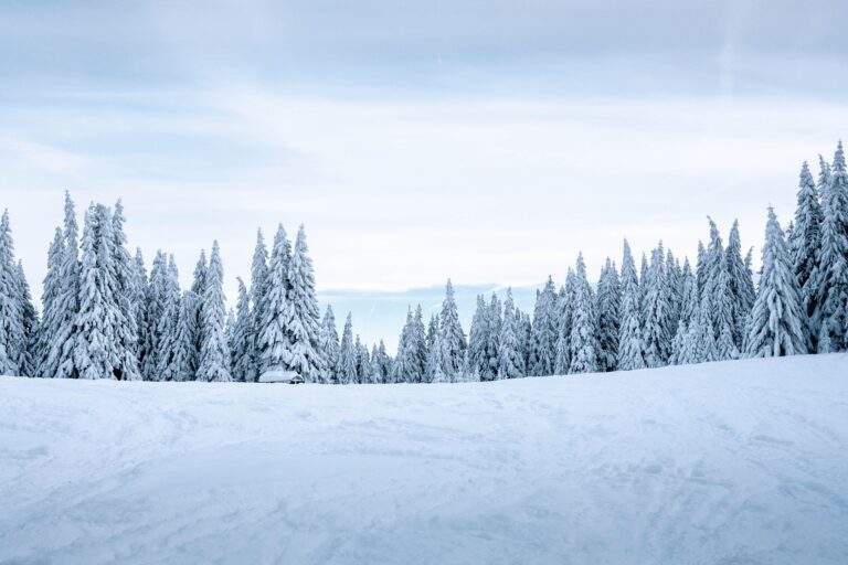 Snow Removal Trucks For Sale: Your Essential Guide to Conquering Winter