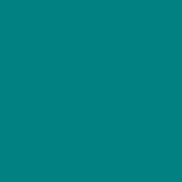Teal Rubicon: The Definitive Leap Towards Evolutionary Organizations