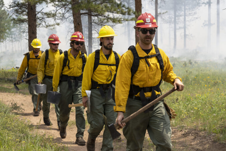 Wildland Brush Trucks For Sale: Your Comprehensive Guide to Acquiring a Firefighting Essential